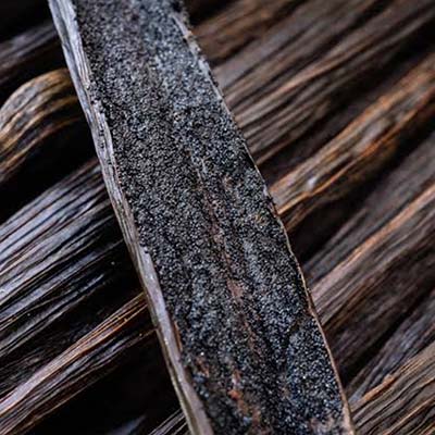 Vanilla Planifolia supplier
