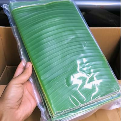 banana-leaves-exporter