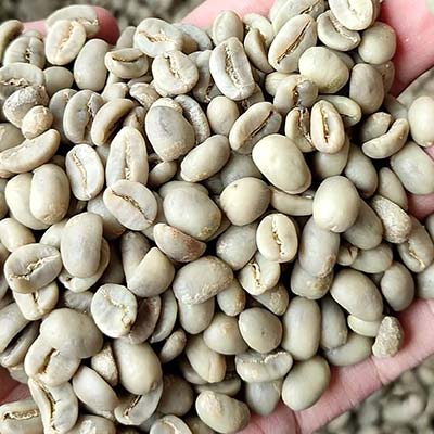 arabica-coffee-beans-export arabica coffee beans